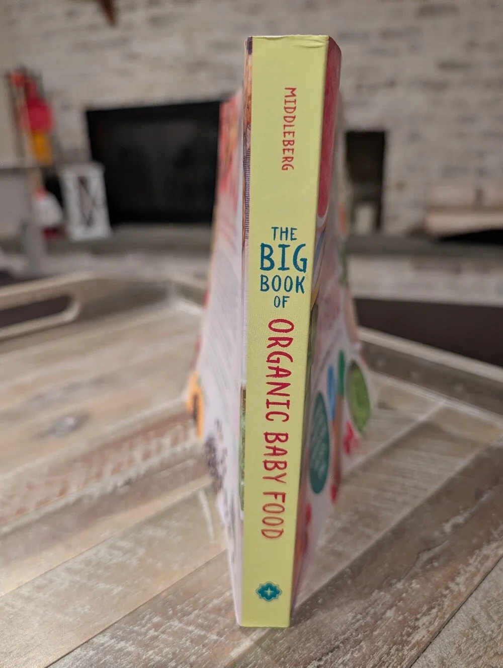 The Big Book of Organic Baby Food By Stephanie Middleberg, MS, RD, CDN